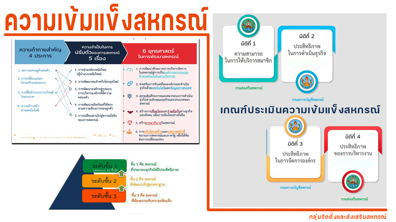 กลุ่มจัดตั้งและส่งเสริมสหกรณ์